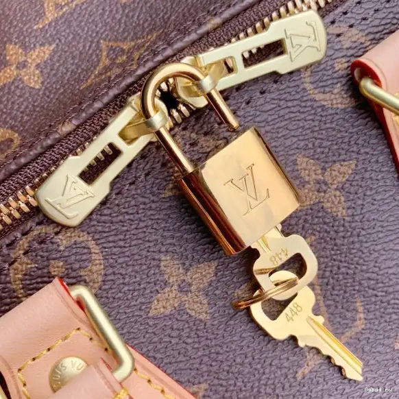 Vuitton SPEEDY BANDOULIERE 25 Louis 0509